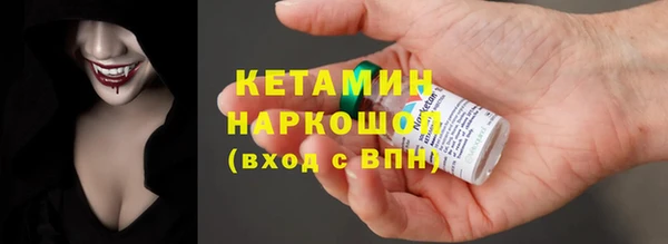 прущие грибы Корсаков