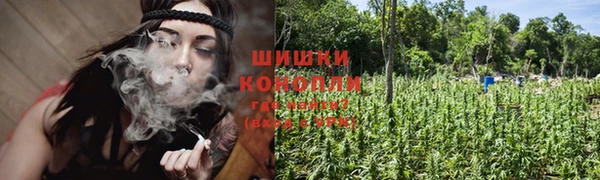 МДПВ Кодинск