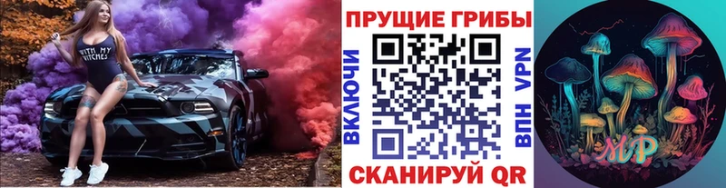 Купить закладки  Чегем  Псилоцибиновые грибы Psilocybine cubensis 