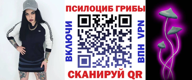 Псилоцибиновые грибы Cubensis Чегем